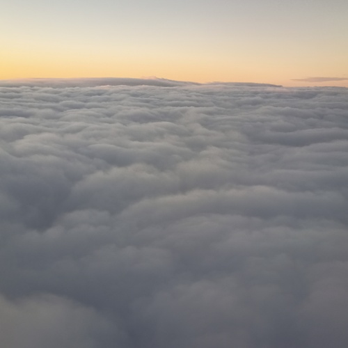 Photo #13778922