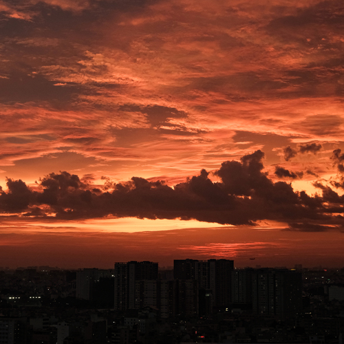 Photo #13778955
