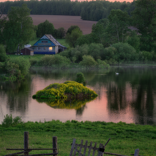 Photo #13778961