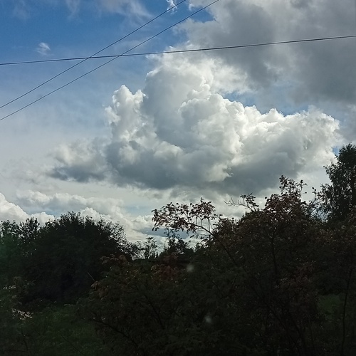 Photo #13779029