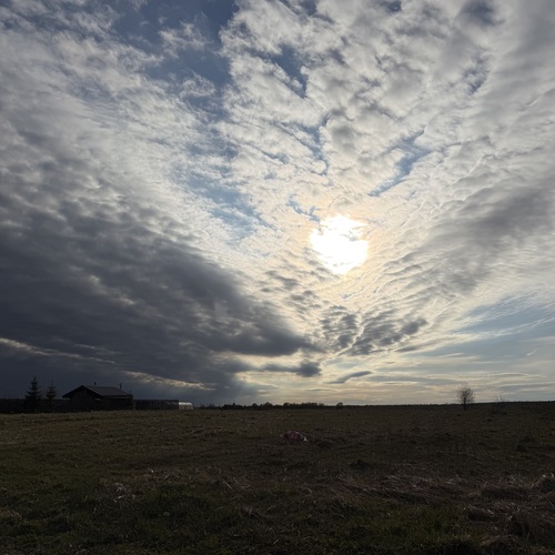 Photo #13779033