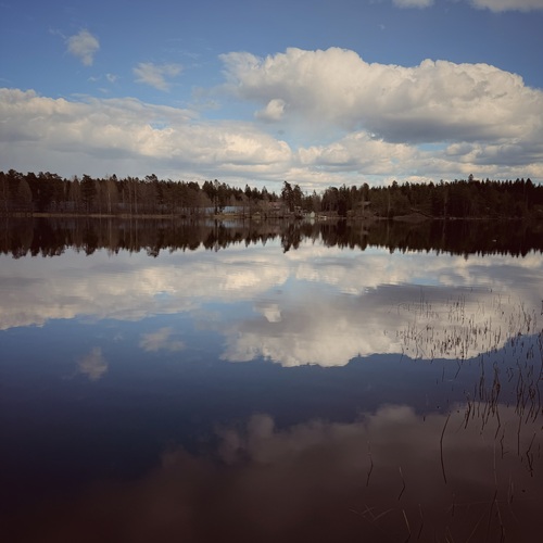 Photo #13779065