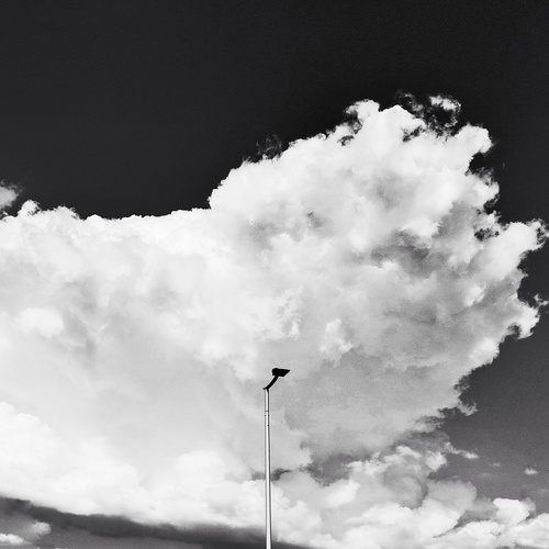 Photo #13779072