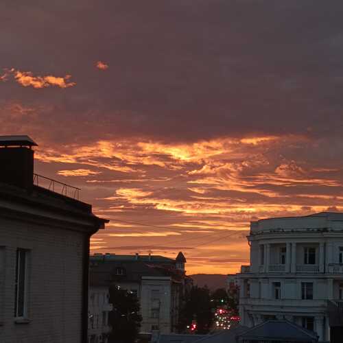 Photo #13779075