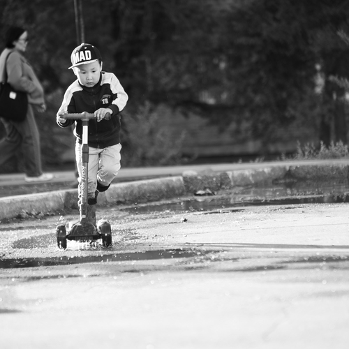 Photo #13779129