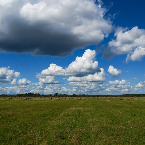 Photo #13779154