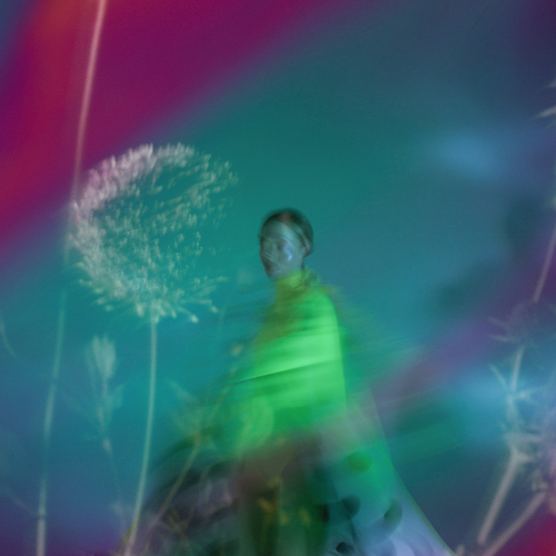 Photo #13779166