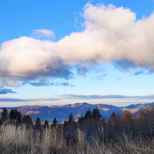 Photo #13779184