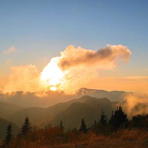 Photo #13779186