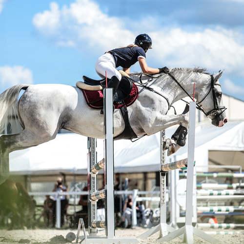 Photo #13779195