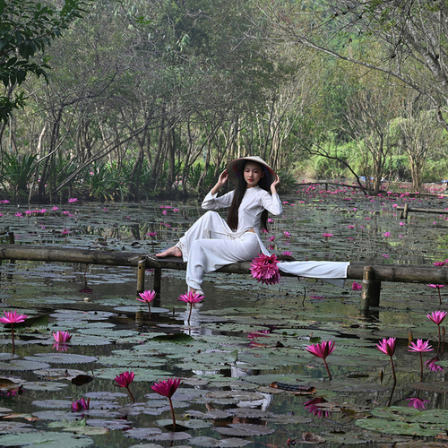 Lotus Whisperer