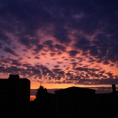 Photo #13779267