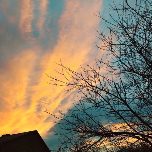 Photo #13779273