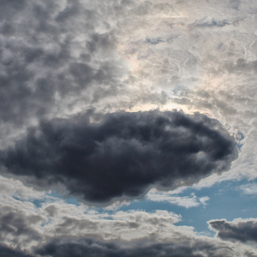 Photo #13779300