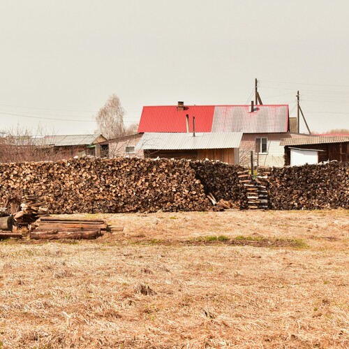 Photo #13779347