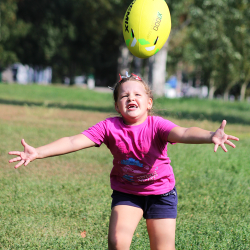 Photo #13779376