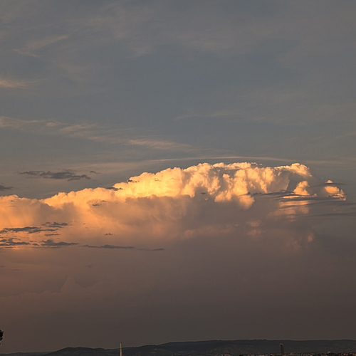 Photo #13779470