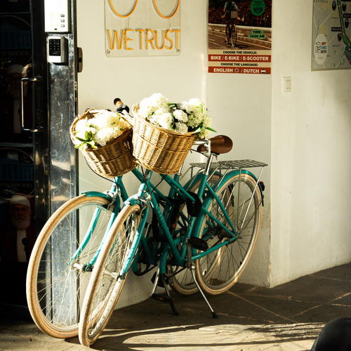 Photo #13779525