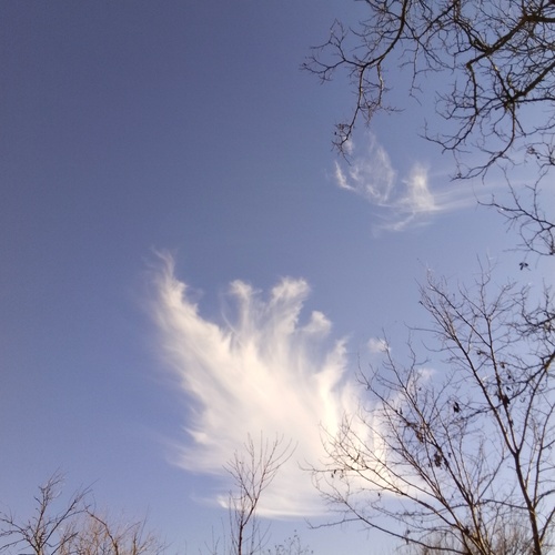Photo #13779531