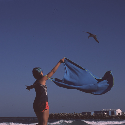 Photo #13779561