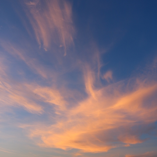 Photo #13779582