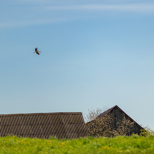 Photo #13779588