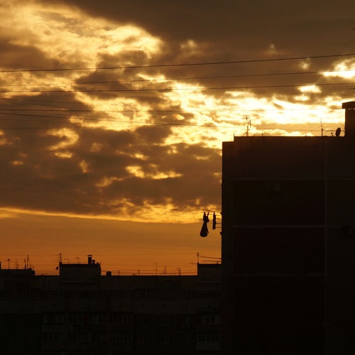 Photo #13779594