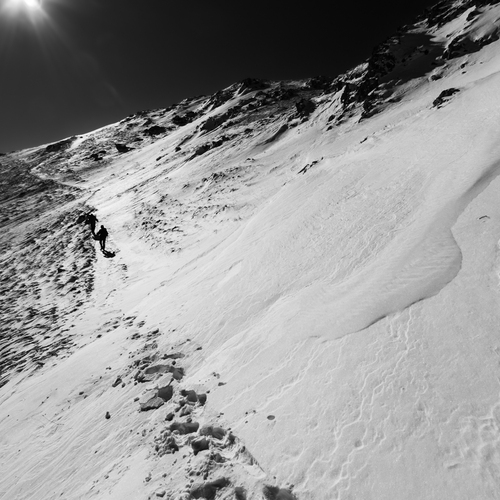 Photo #13779600