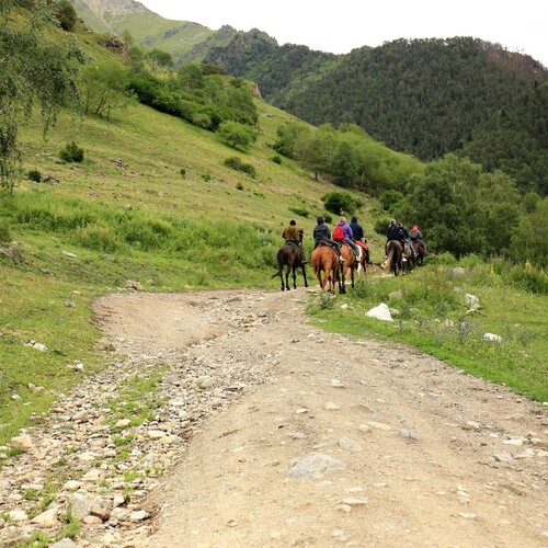 Photo #13779621