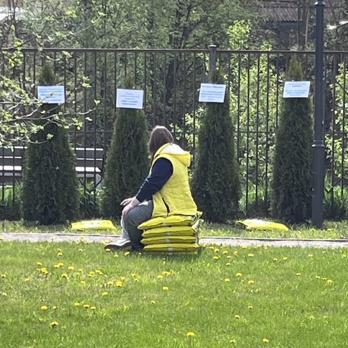 Озеленительница в желтом