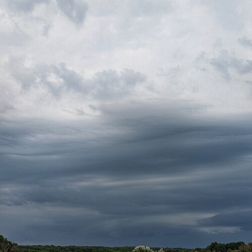 Photo #13779700