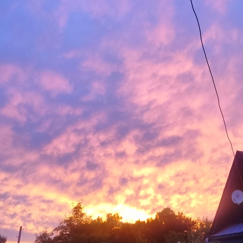 Photo #13779709