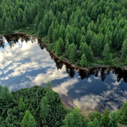 Photo #13779741