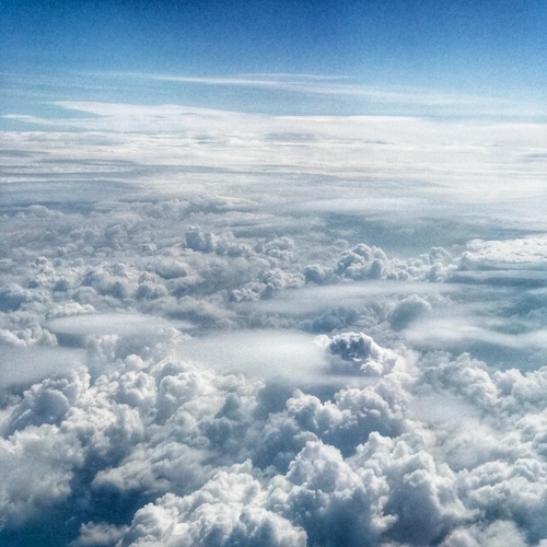 Photo #13779790