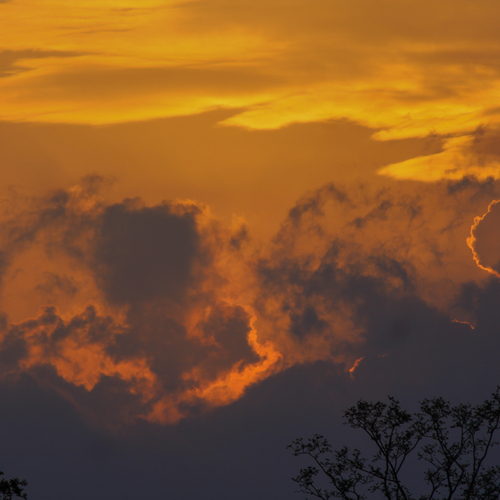 Photo #13779796