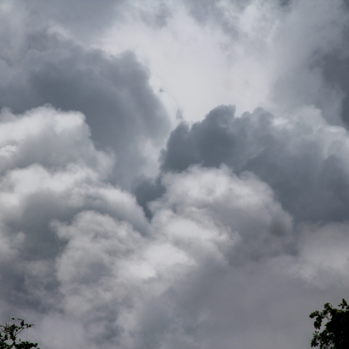 Photo #13779797