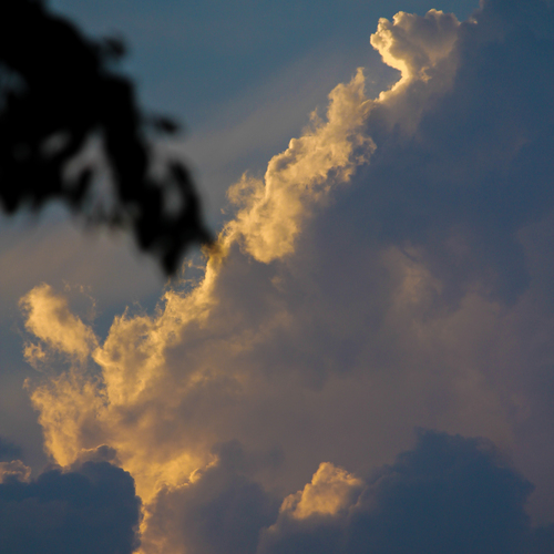 Photo #13779798