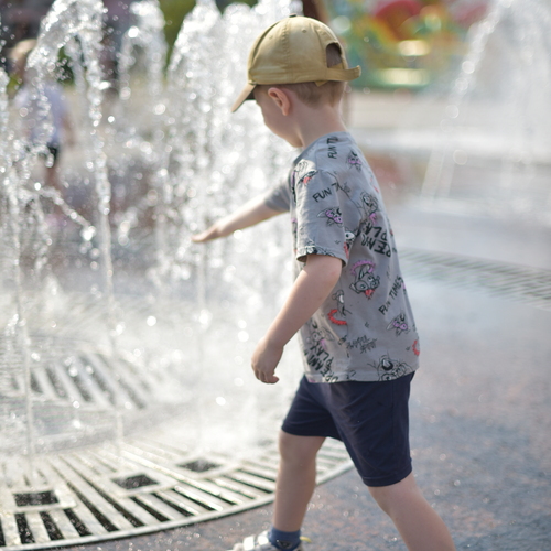 Photo #13779800
