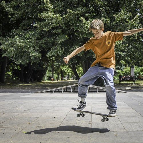 Photo #13779948