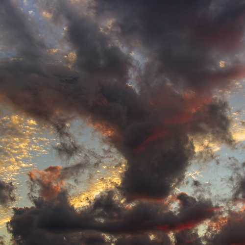 Photo #13779992