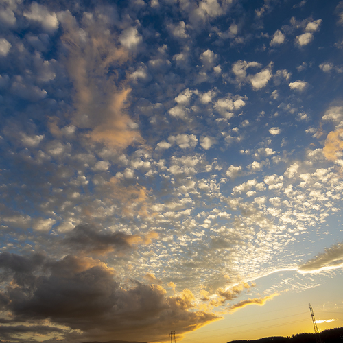 Photo #13779993