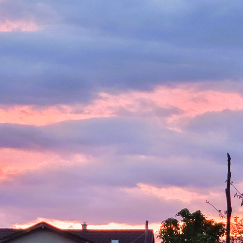 Photo #13780005