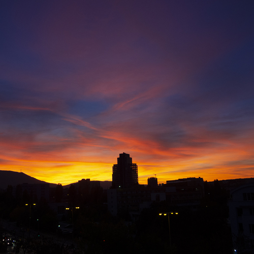 Photo #13780015