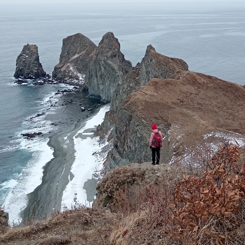 Photo #13780042