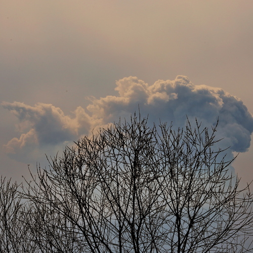 Photo #13780082