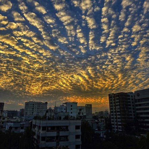 Photo #13780129