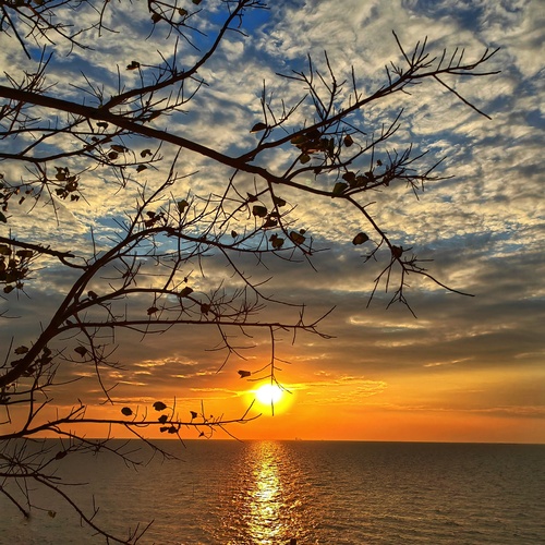 Photo #13780131