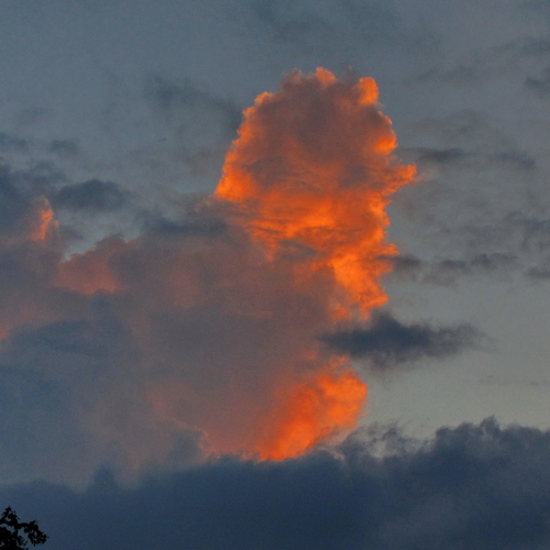 Photo #13780175