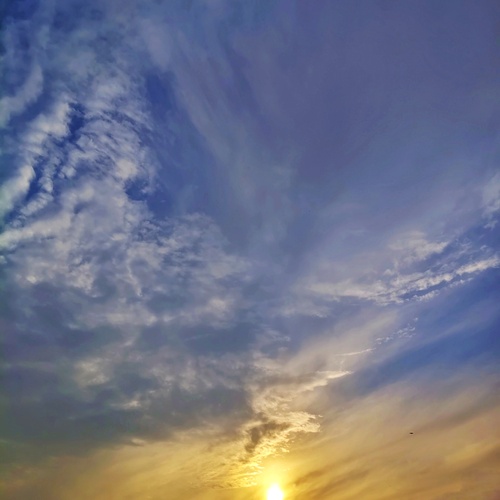 Photo #13780244