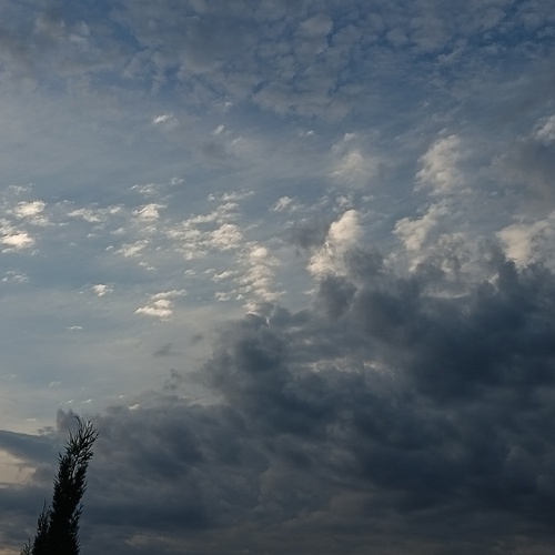 Photo #13780247